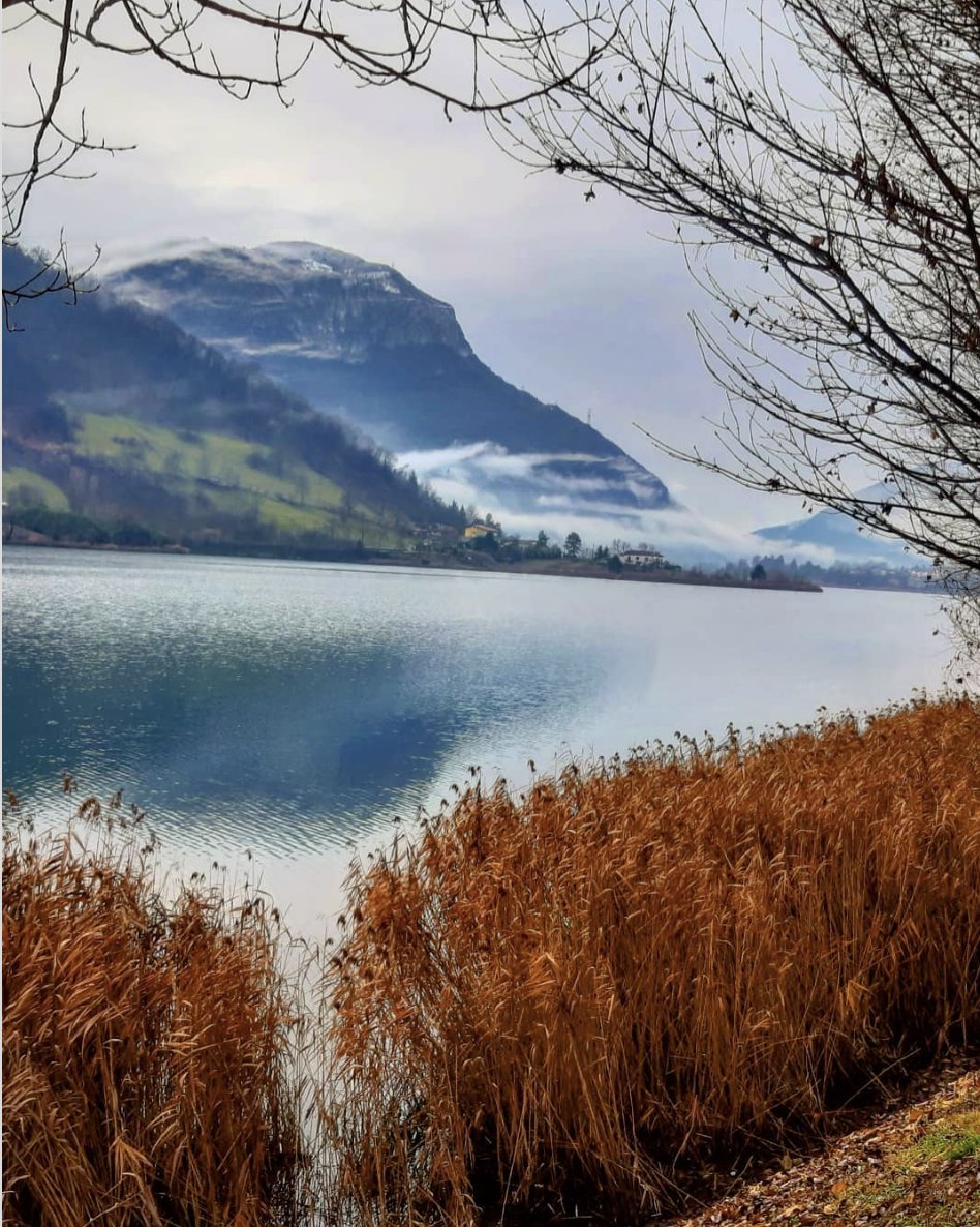 Pas à pas, le lac d'Endine dévoile ses paysages inédits : le lieu idéal pour une longue promenade de détente !

bit.ly/2Se9WHh

📍 Ranzanico
📷 <a href="/giorgio/">giorgio</a>.maggiore

#visitbergamo
#bergamojustamazing
#enLombardie