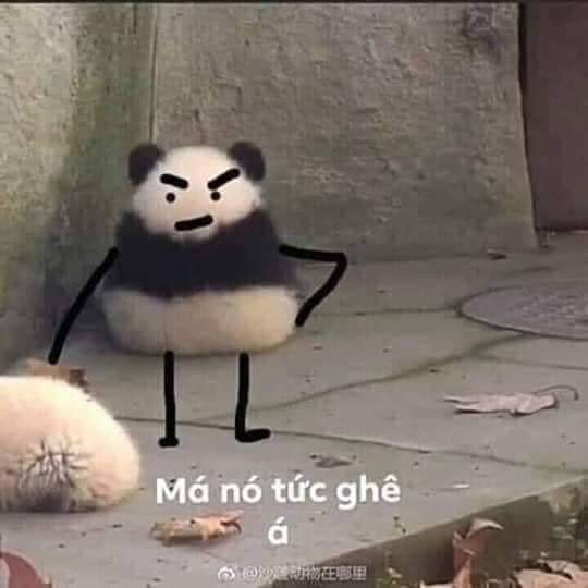 Pyo49100036's tweet photo. Nghe mấy anh nói cách mấy tiếng mới cho các anh ăn. Ngộ ha 
#YTN_사과해
#베트남을존중해
Ủa bộ ăn không cần tiêu hoá hay gì mà muốn cho ăn liên tục. https://t.co/HPCQ4hnQGO