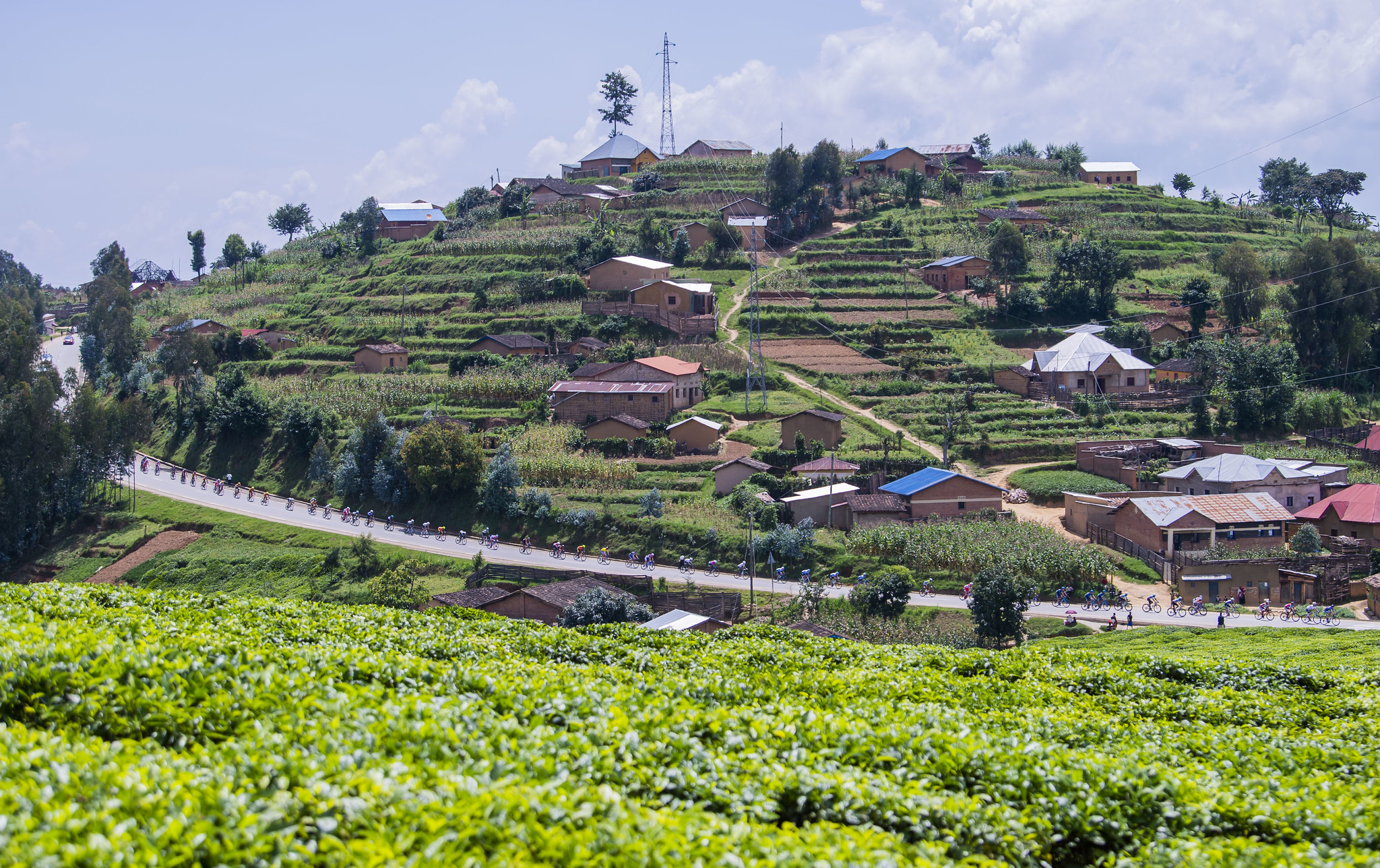 ERsbbKfWsAAXdpb?format=jpg&name=4096x4096