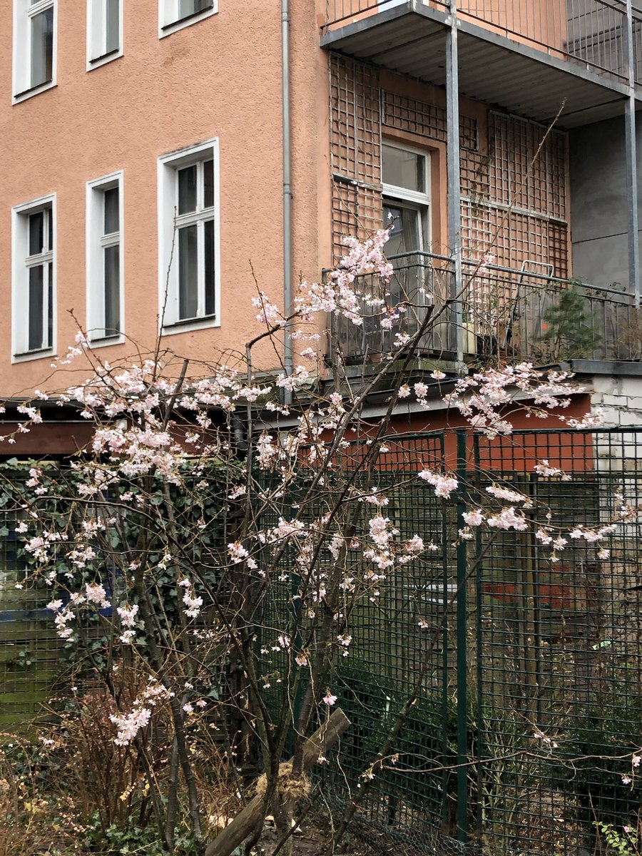 Katrin Mboundza Fraumb Twitter