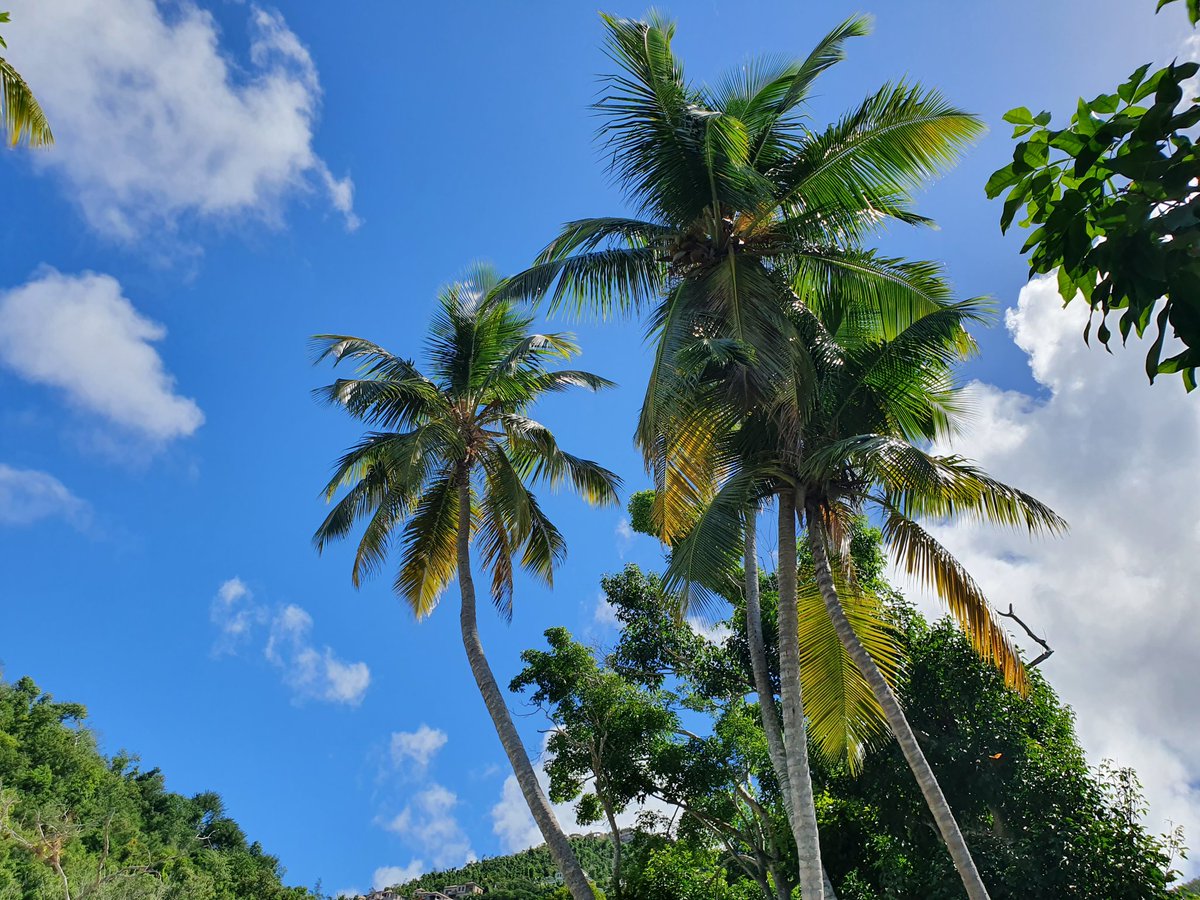 Social Group Holidays <a href="/SG_Holidays/">SocialGroupHolidays</a>