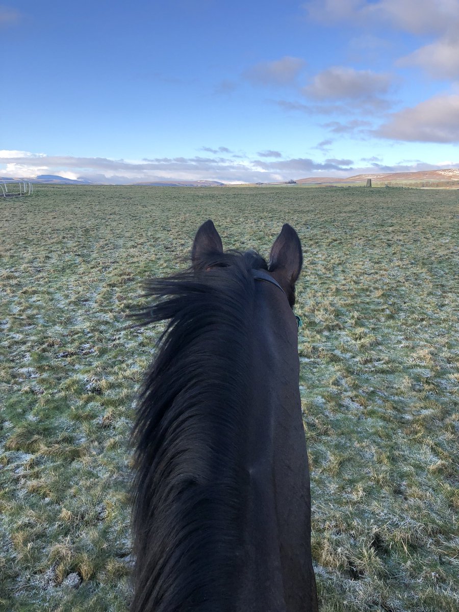 Cold but pretty morning in Middleham with the Queen 👑 #LadyButtons #WeLikeATripOut #FeelingWell #SnowOnTheHills #HappyPlace #BlueSky #SunMadeAnAppearance #HappyDays 💜💜💜