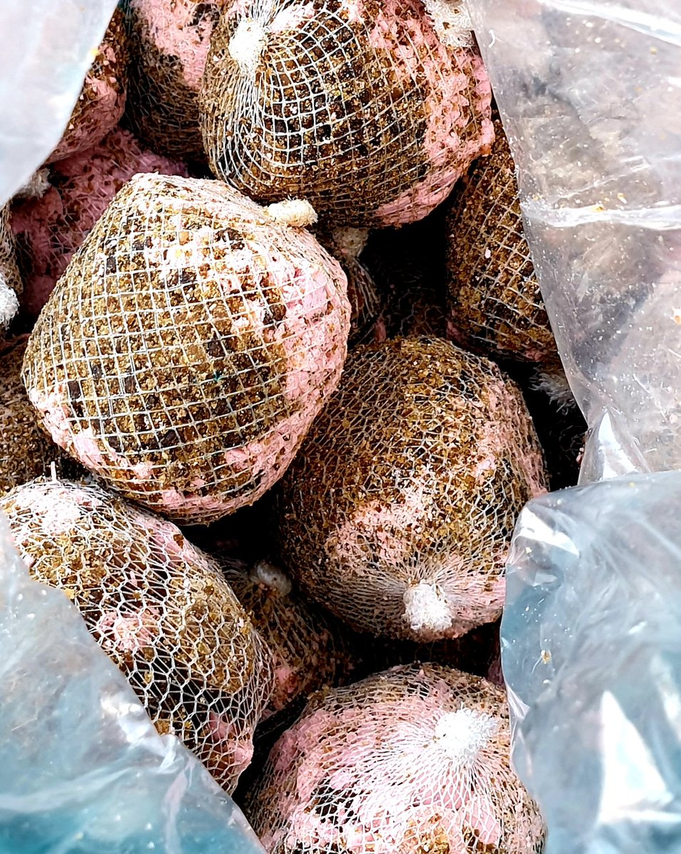 Julian Cundiff tweet media