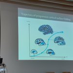 Photo by MeCA research group (@meca_brain)