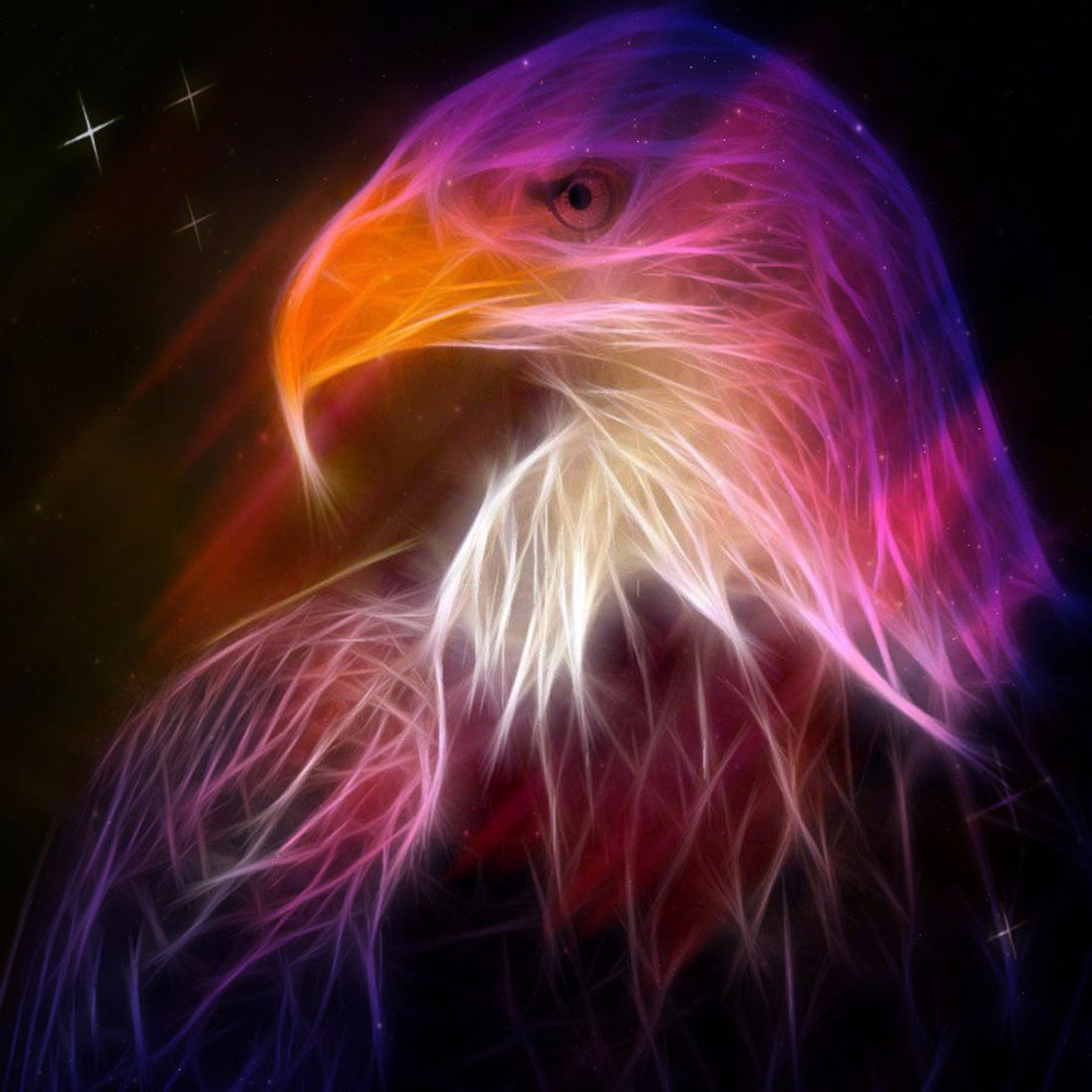 JonnyAdams855's tweet photo. https://t.co/ow6NDk9XOf ◀️ DOWNLOAD here!

Do you dream of having a wildlife adventure? 🐅

✅ Wide choice of phenomenal live wallpapers!
✅ Beautiful HD graphics and open GL!
✅ Animated stars falling down the screen!
✅ Choose the speed, number and type of particles! https://t.co/nvuhJSIbRA