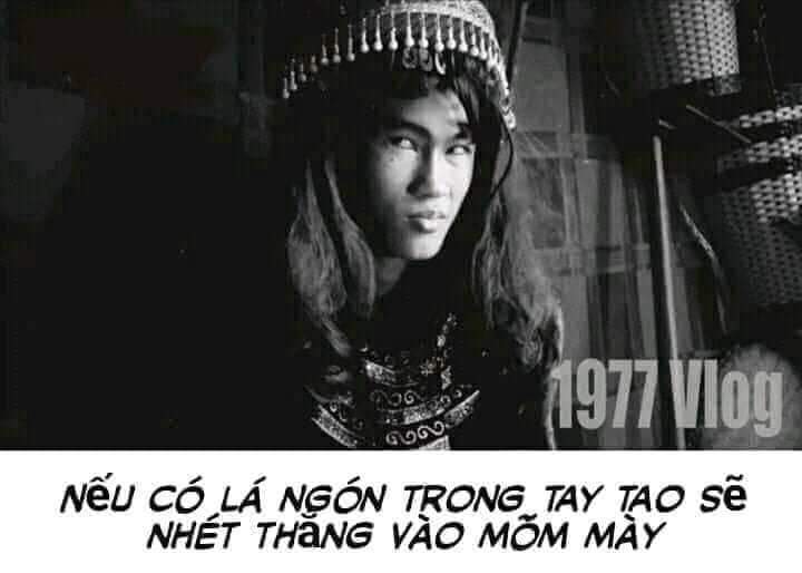 tlanhj lùng tweet media