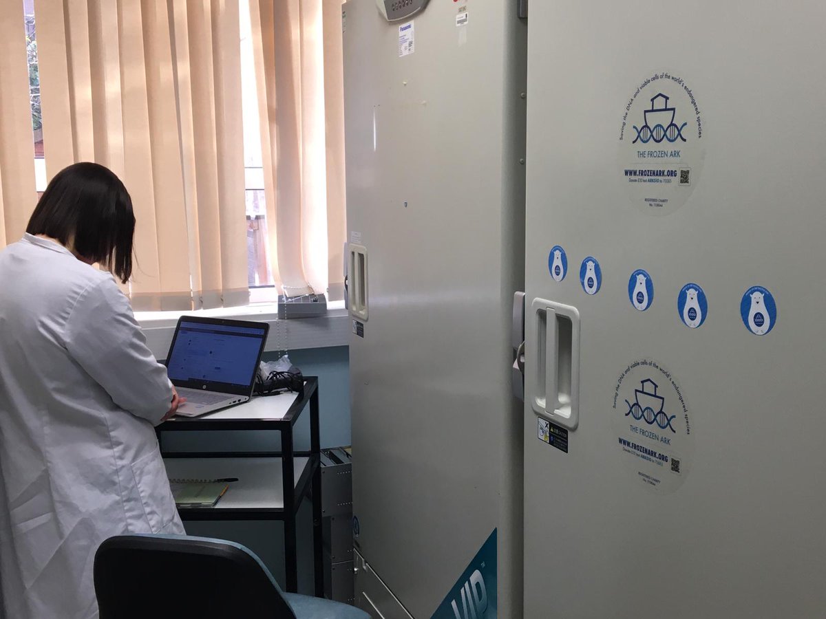 frozenark's tweet photo. About to start auditing our freezer!  #biobanking #conservation #PTYTwitterTakeover https://t.co/wew9ekbRKJ