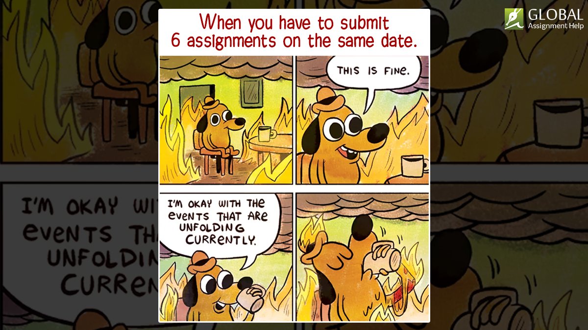 gah_australia's tweet image. Don&apos;t get frustrated by multiple assignments. Get yourself an expert to help.
Contact Us: +61283206050

Visit Us:
globalassignmenthelp.com.au

#globalassignmenthelpaus #assignment #assignmentmeme #meme #studentproblems #australianuniversity #koala #australiafires
#multipleassignments