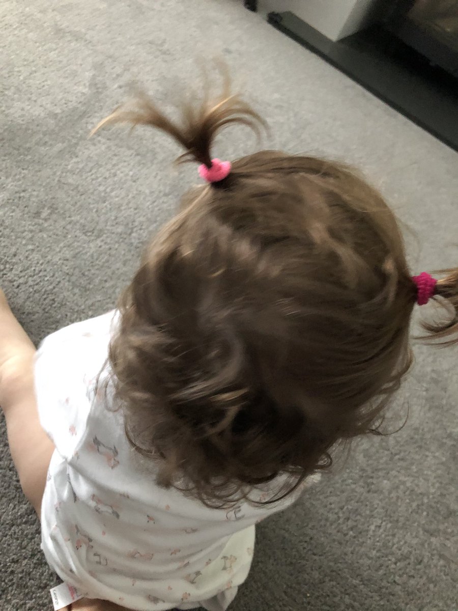 thisismrsread's tweet image. Mini is in bunches 🤩🥰