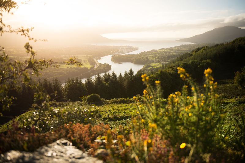 RoI_NI_Comm's tweet photo. Do you know any Irish Fairy Tale? #TellAFairyTaleDay πΈ
Join us to discover a few Irish Tales and share the one you know with us on #IrelandCommunity.
https://t.co/zjxfAT9BZd https://t.co/3E6lk9TcmZ