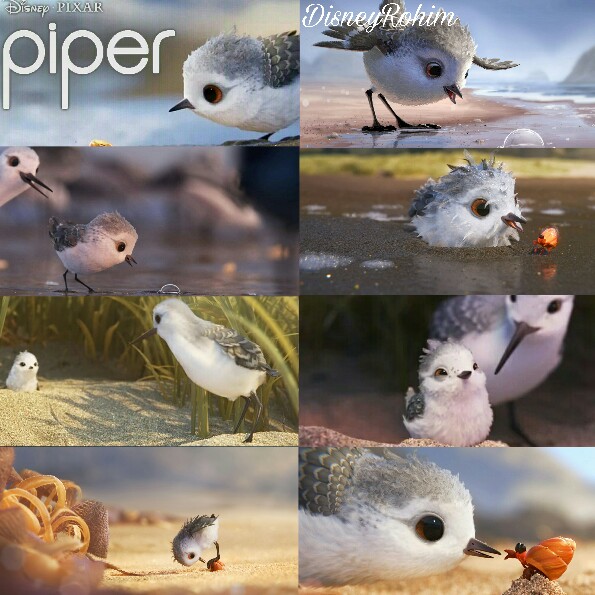 tenis ligado acoplador Disney Rohim on Twitter: "This Is My Favourite Disney Pixar Short Movie So  Cute And So Adorable #Pixar #Disney #Piper #PixarPiper #PixarShort  #DisneyPlus #DisneyEdits #BestShortFilm https://t.co/4a10EaVFG2" / Twitter