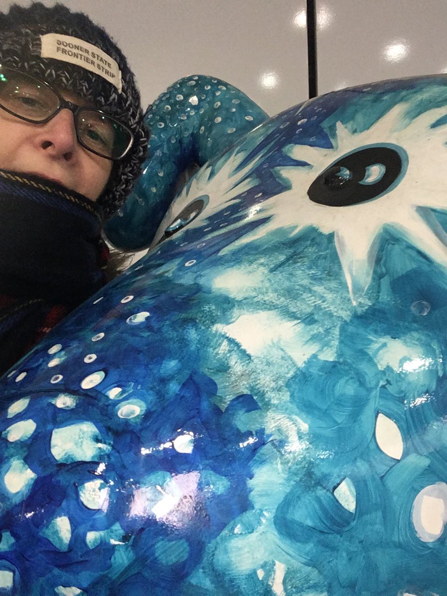 NicolaMcMeekin's tweet photo. @HEHTAGlasgow @NorthumbriaUni @IHWAthenaSWAN @AudreyDickie1 I found a friend! #GreatNorthSnowdogs https://t.co/woFWTAaKaM