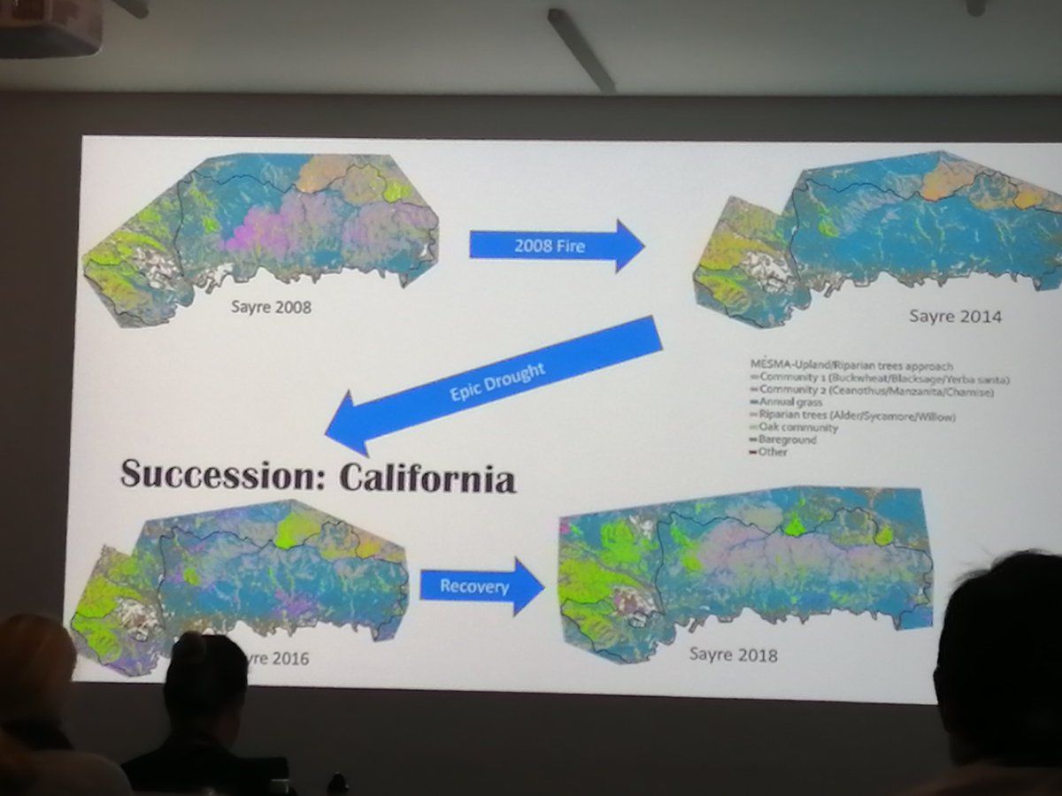 Sophie Hebden tweet media