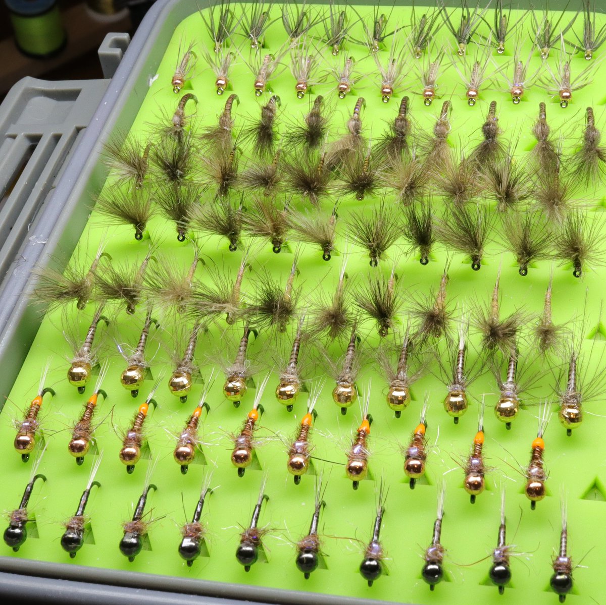incompangler's tweet photo. That's the first 6 weeks of the season well and truly covered! 
#flyfishing #flytying https://t.co/3JWONRECM0