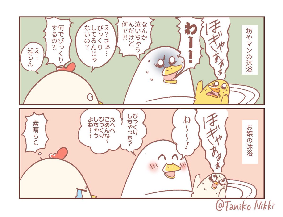 夫Pちゃんの心の余裕の違い
(1人目と2人目の沐浴)

#鶏さんの絵日記 