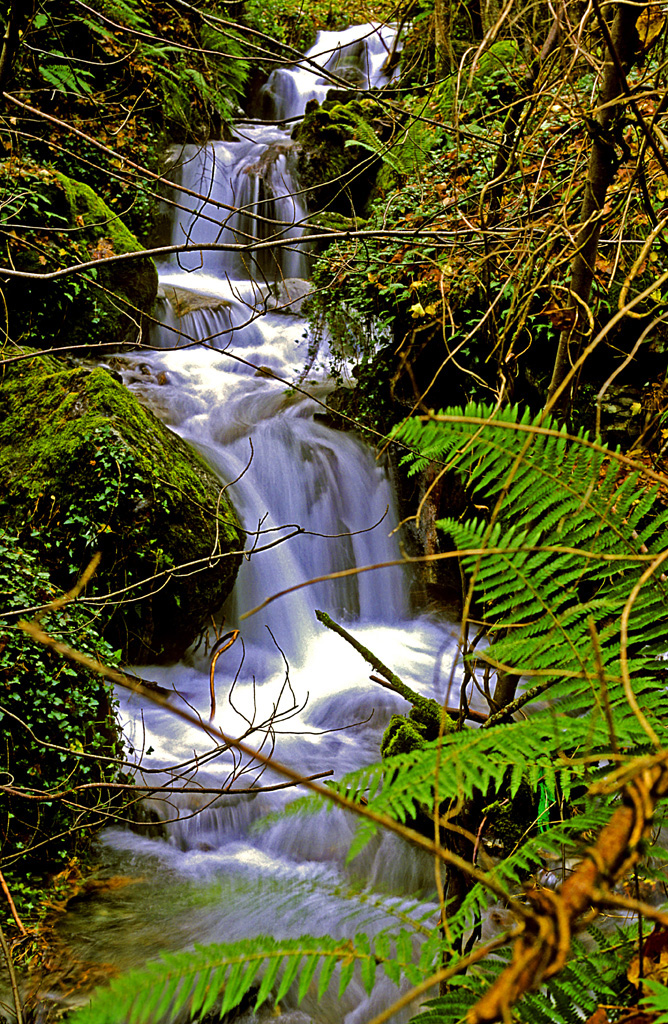 turismobierzo's tweet photo. ¿Todavía no conoces el Valle de Ancares? No esperes más. Te esperan increíbles paisajes en los que el agua regala estampas de ensueño y pequeños pueblos que conservan todo el encanto. Te aseguramos que cuando lo descubras querrás volver 
#descubriendoelbierzo #elbierzo @CCBierzo https://t.co/fIPluifuri