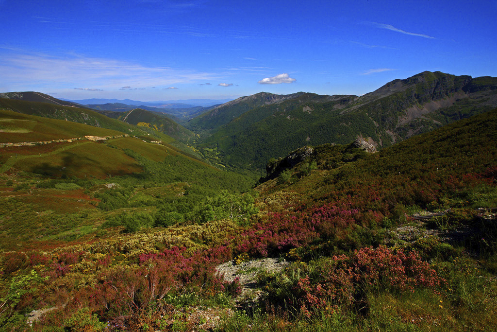 turismobierzo's tweet photo. ¿Todavía no conoces el Valle de Ancares? No esperes más. Te esperan increíbles paisajes en los que el agua regala estampas de ensueño y pequeños pueblos que conservan todo el encanto. Te aseguramos que cuando lo descubras querrás volver 
#descubriendoelbierzo #elbierzo @CCBierzo https://t.co/fIPluifuri