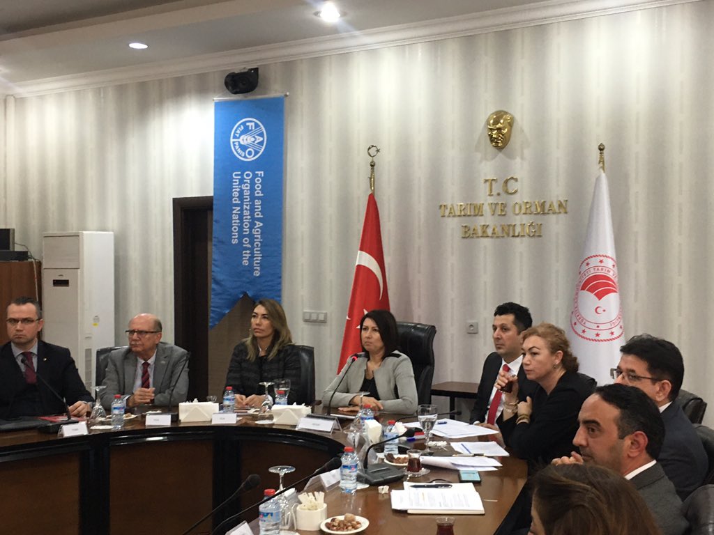 faoturkiye's tweet photo. 👥 Working closely on #food loss and #foodwaste, today @FAO and @TCTarim host trade chambers, related roof associations and public institution units to discuss the areas of collaboration on #FLW ���
#zerowastezerohunger #zerohunger https://t.co/7i22VKRebO
