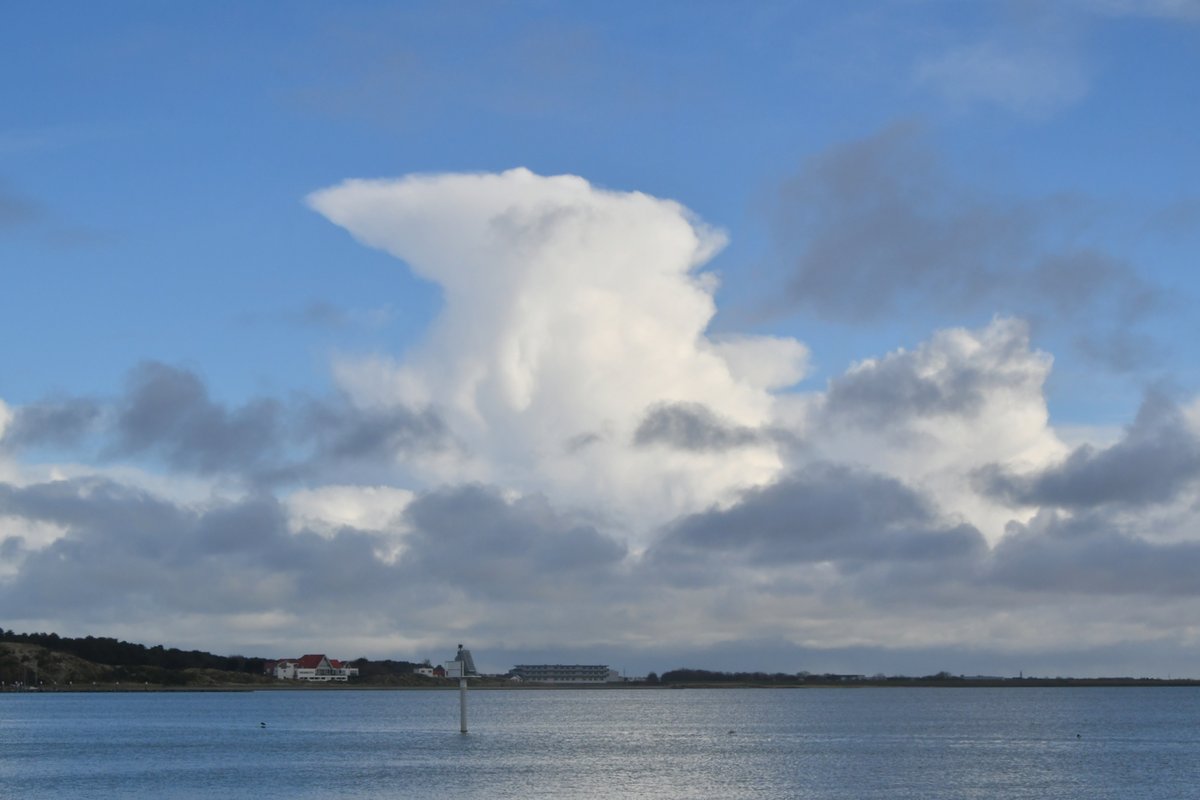 SytseSchoustra's tweet photo. #aambeeld, #cumulonimbus in optima forma, de hemel hangt er vol mee op #Terschelling https://t.co/vYCGg0wJtb