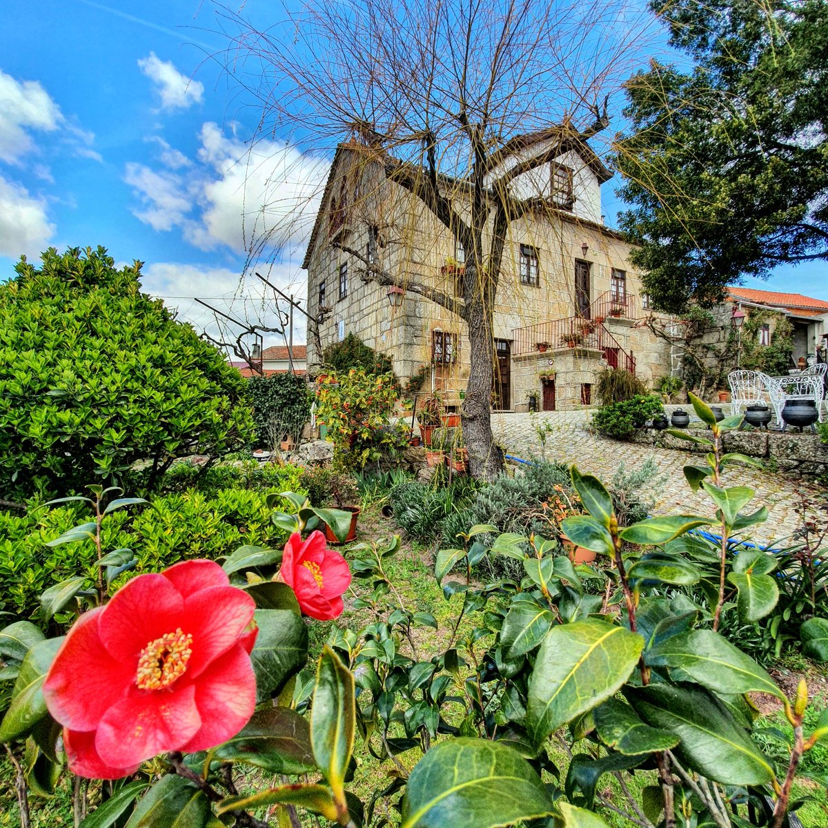 pedromamede's tweet photo. #wellness #serradaestrela #portugal #aldeiasdemontanha #greenkey #greenkeyint #wellbeing 💚🏡👈 [ @visitportugal @aboutcentro @CentroPortugal ] https://t.co/fKweYkpAFj