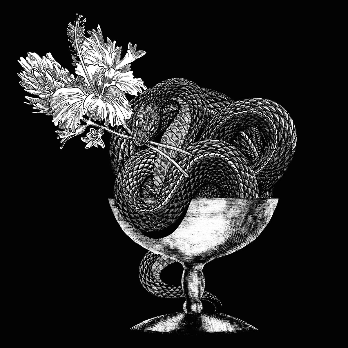 My art for a new gin bottle design.