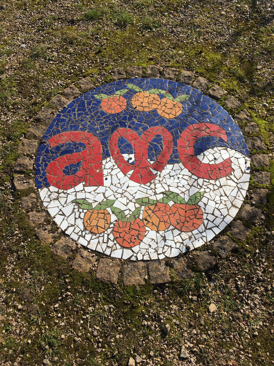 “A society grows great when old men plant trees whose shade they know they shall never sit in.”

Greek Proverb.

#ActivitiesDay #SoMuchMore

<a href="/ActionNhs/">NHS Community Action</a> @NottsHigh