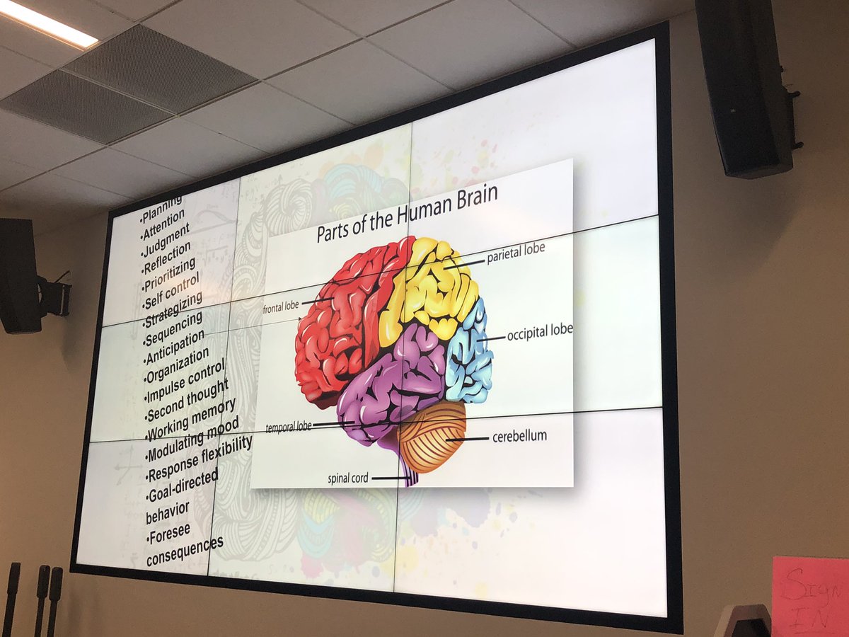 OT’s and PT’s learning about neurology and behavior today🧠