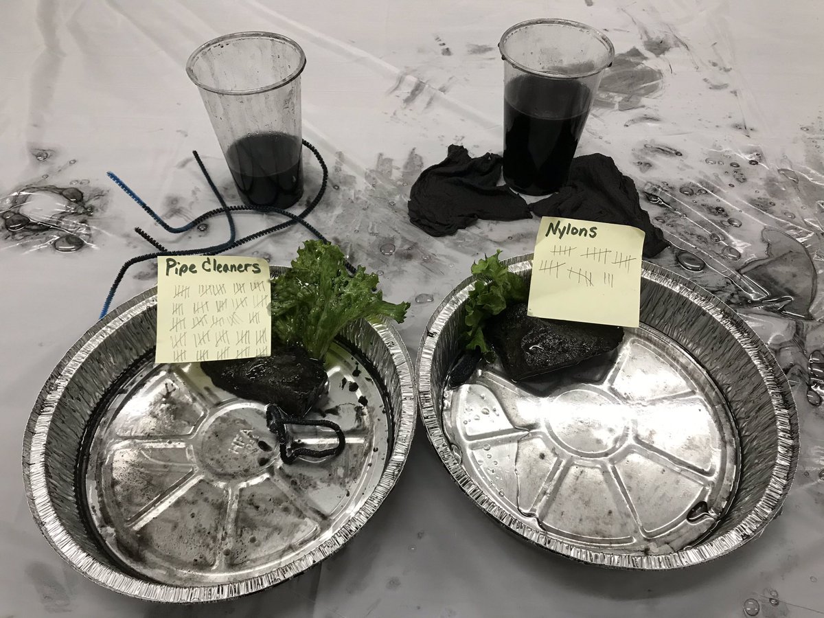 MusaThaxton’s fourth grade class doing the oil spill lab in The STEM LAB.  Which material cleaned the best in the last picture?
#IC1920, @IC_Explorers , #ICallthetime