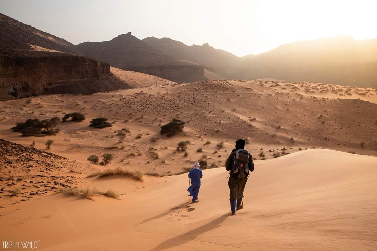 Les paysages de la Mauritanie, on en parle?! 😍
5 jours de randonnée entre dunes et canyons, c'était fouuu ✨