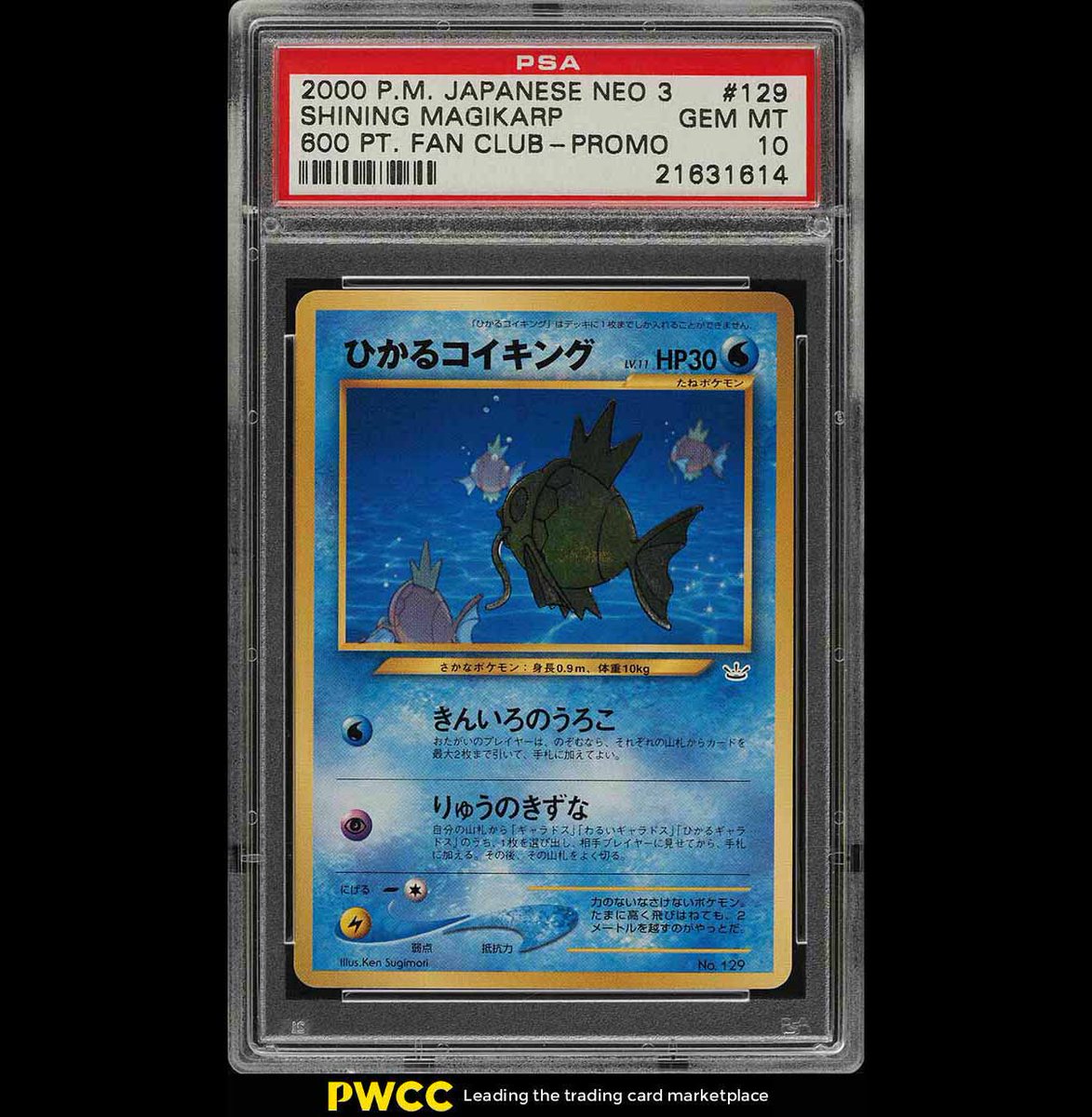 Pwcc Closing Tonight Wednesday 00 Pokemon Japanese Neo 3 600 Pt Fan Club Shining Magikarp 129 Psa 10 High Res Image Link T Co Ftxvpidkrw Tangibleassets Invest Pokemon Shiningmagikarp Pokemonfanclub T Co Pwcc Closing Tonight Wednesday 00 Pokemon Japanese Neo 3 600 Pt Fan Club Shining Magikarp 129 Psa 10 High Res Image Link T Co Ftxvpidkrw Tangibleassets Invest Pokemon Shiningmagikarp Pokemonfanclub T Co