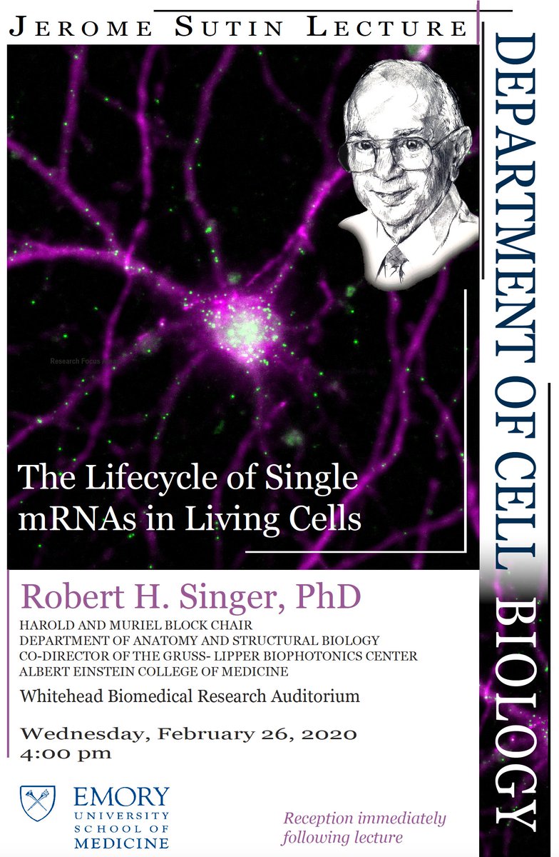 LabLerit's tweet image. Just had a wonderful meeting with Rob Singer discussing being a #newPI and sharing our work on #RNALocalization. Plus, as a former MA resident, he picked up on my @TweetWorcester accent within 5 min. Looking forward to his Sutin Lecture TODAY at 4!