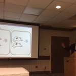 Image for the Tweet beginning: This example of mice getting