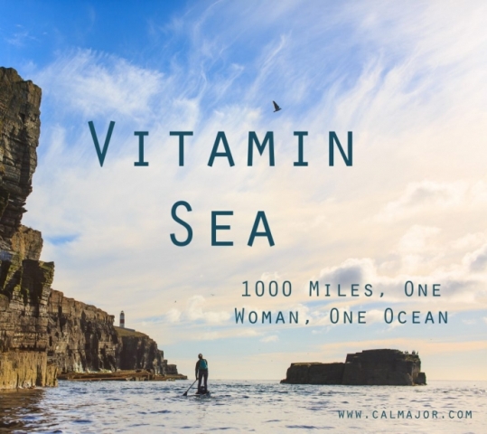 Join <a href="/SomersetWT/">Somerset Wildlife Trust</a> &amp; Plastic Free Minehead at the Beach Hotel #Minehead on Tue Mar 10th - 7 to 9pm to see Cal Major's wonderful documentary 'Vitamin Sea'. Info: somersetwildlife.org/events <a href="/ExmoorNP/">Exmoor National Park</a> <a href="/Giles_Adams/">What's On Somerset</a> <a href="/WhatsonSW/">What's On Southwest Magazine Est: 1996</a> <a href="/dunsterofficial/">Discover Dunster 🇺🇦</a> <a href="/Dunster_Info/">Dunster Info</a> <a href="/DiscoverPorlock/">Discover Porlock</a> @LyntonLynmouth