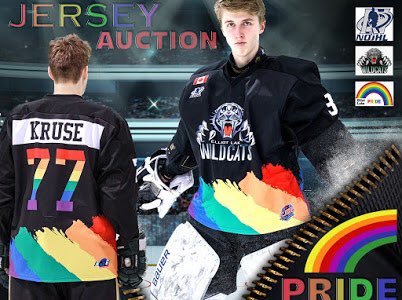 Elliot Lake Red Wings tweet media