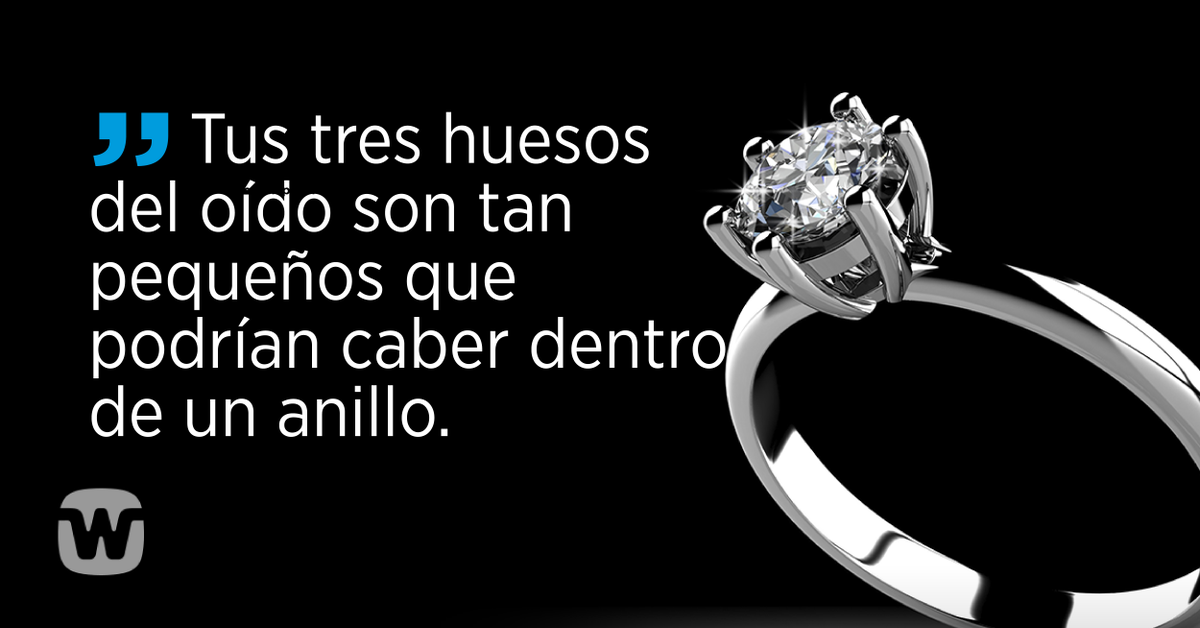 #DatoMiércoles 

#Audífonos #Widex #WidexChile #Sordera #Hipoacusia #Oído #Oir 
#Escuchar #Tecnología #Audición #Presbiacusia