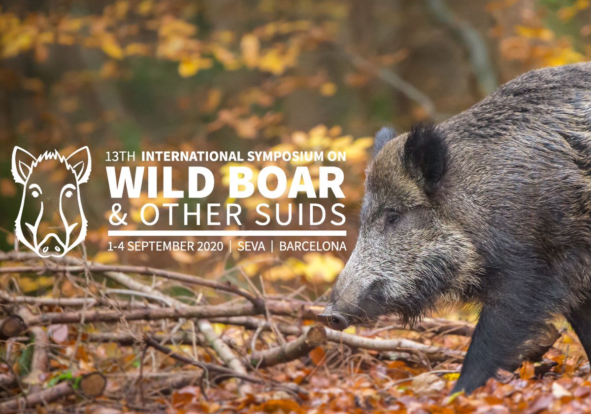 WildBoar2022's tweet photo. Registration for 13th International Symposium on #WildBoar 
and other #Suids is now open! Take advantage of the ‘Early Bird’ reduced fee until 15th May! Register now ➡️https://t.co/gw62PDg07I #WildBoarSymposium2020🐗 https://t.co/E5S1M8mwZu