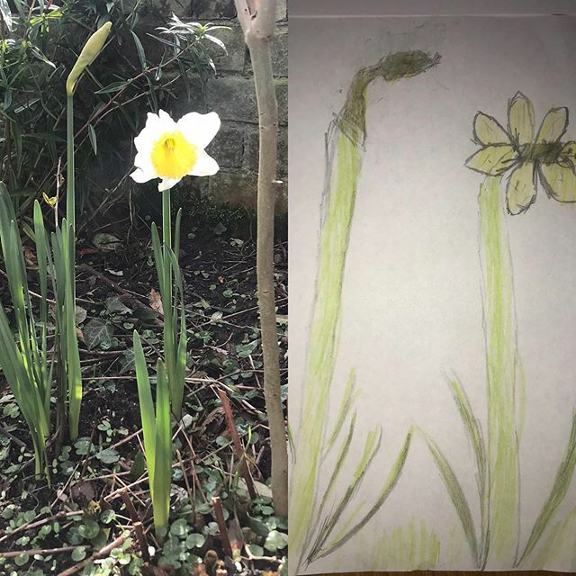 Cardfields tweet media