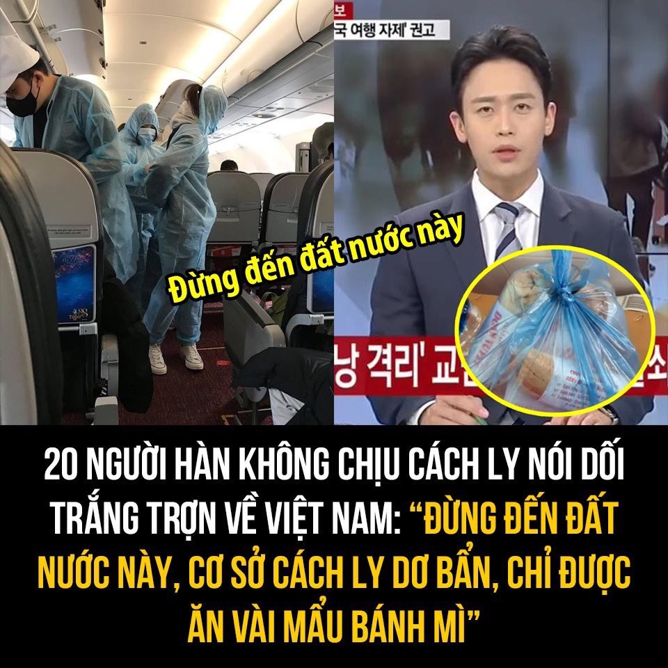 kitevn1's tweet photo. #KoreansApologizetoVietnam while you are staying in a 4-star hotel with a bread worth VND 30,000 and eat and drink, but you just because you don't want to quarantine and lie blatantly about our country like that? https://t.co/iyQrS8kcnk