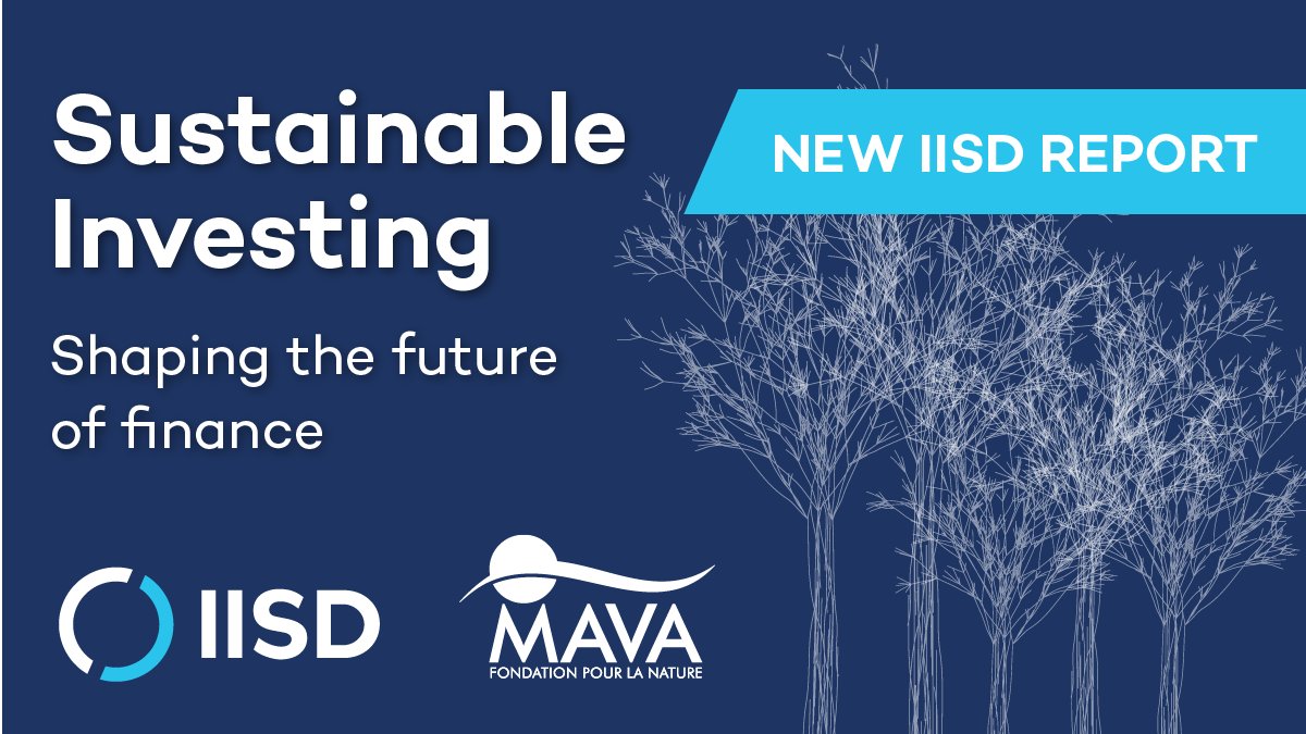 David Uzsoki tweet media