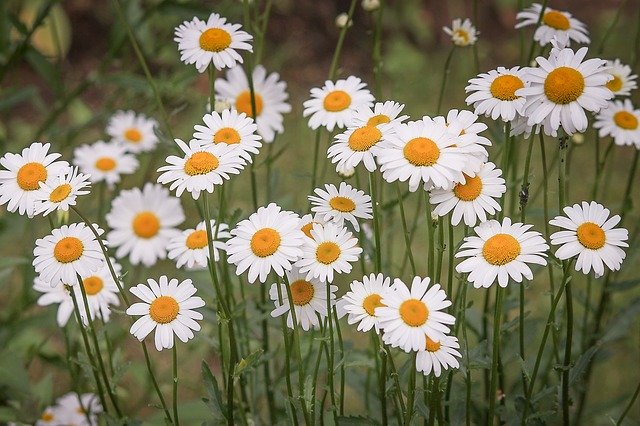 BlueAnchor16's tweet photo. Is your business ready for Spring?  It's not too early to get your advertising planned and placed now while inventory is available. 
.
.
.

#CapeCodAdvertising #CapeCod #CapeCodBusiness #CapeCodBusinessOwner #CapeCodSmallBusiness #LocalBusiness #SocialMediaMarketing #MediaBuying https://t.co/wVHbnFEnol