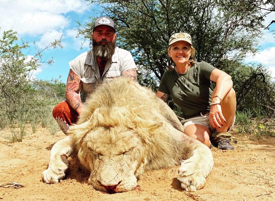 XposeTrophyHunt's tweet photo. The Simoneu family is on a killing spree in Africa. He kills an elephant, Mum kills a canned lion. Bred for a bullet, this farmed lion had no chance yet for Mum-Debby   it’s an ‘achievement’. How many kills does this family need to fill their greed and ego?😒
#BanTrophyHunting https://t.co/526aTB1sFw