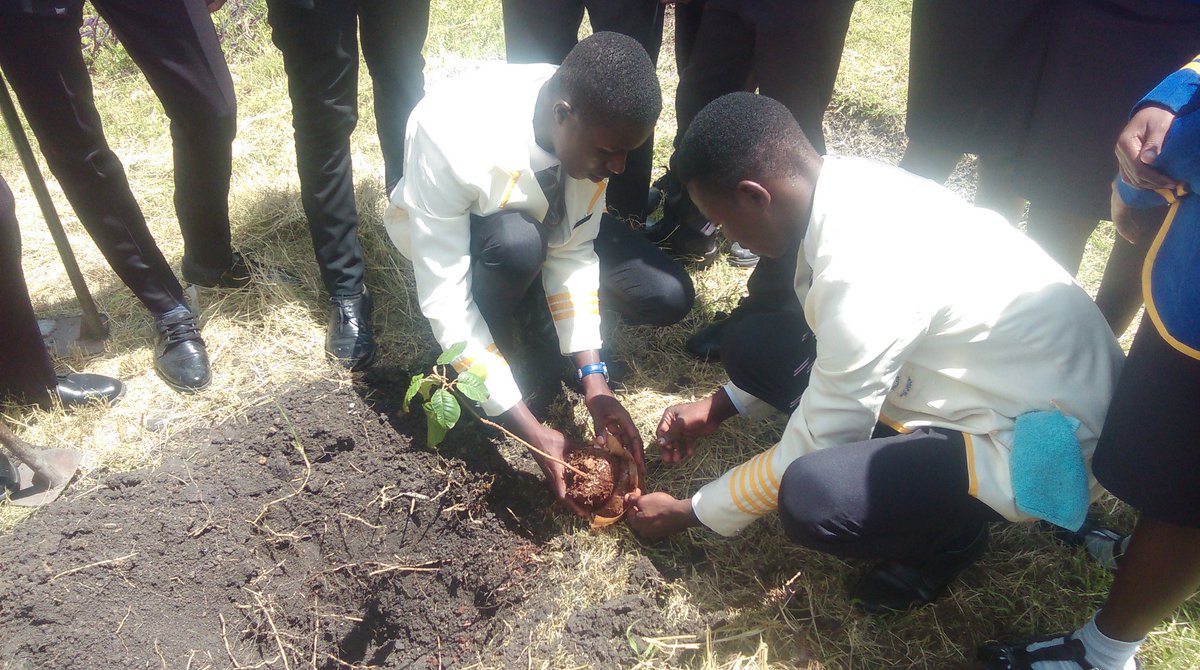 inspdteam's tweet photo. Inspired Team Tree Planting.
Greatstride College.
Plant a tree save generations. Catch them young and inform them!!!! Many thanks to @GreenInstitute2 for partnering. @TinoMuchenje
@SarahHwema #inspiredlifestyle #LOVERSofenvironment #inspiredteam @METHI_Zimbabwe https://t.co/BSDex5ROXe