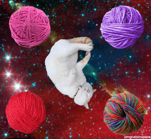 RITmuse's tweet photo. TODAY #crochetWorkshop  @RIT_artdesign
 Weds 2/26 3:30 pm #CraftingDemocracy   @crochetactivism @CraftyChick844 https://t.co/K0YROV2kOO