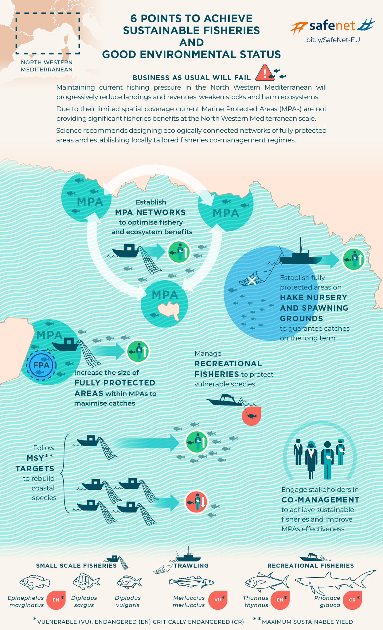 Joachim Claudet on Twitter "FOLLOW MSY TARGETS Overfished stocks of