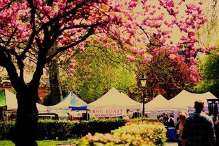 Cabbages & Frocks tweet media