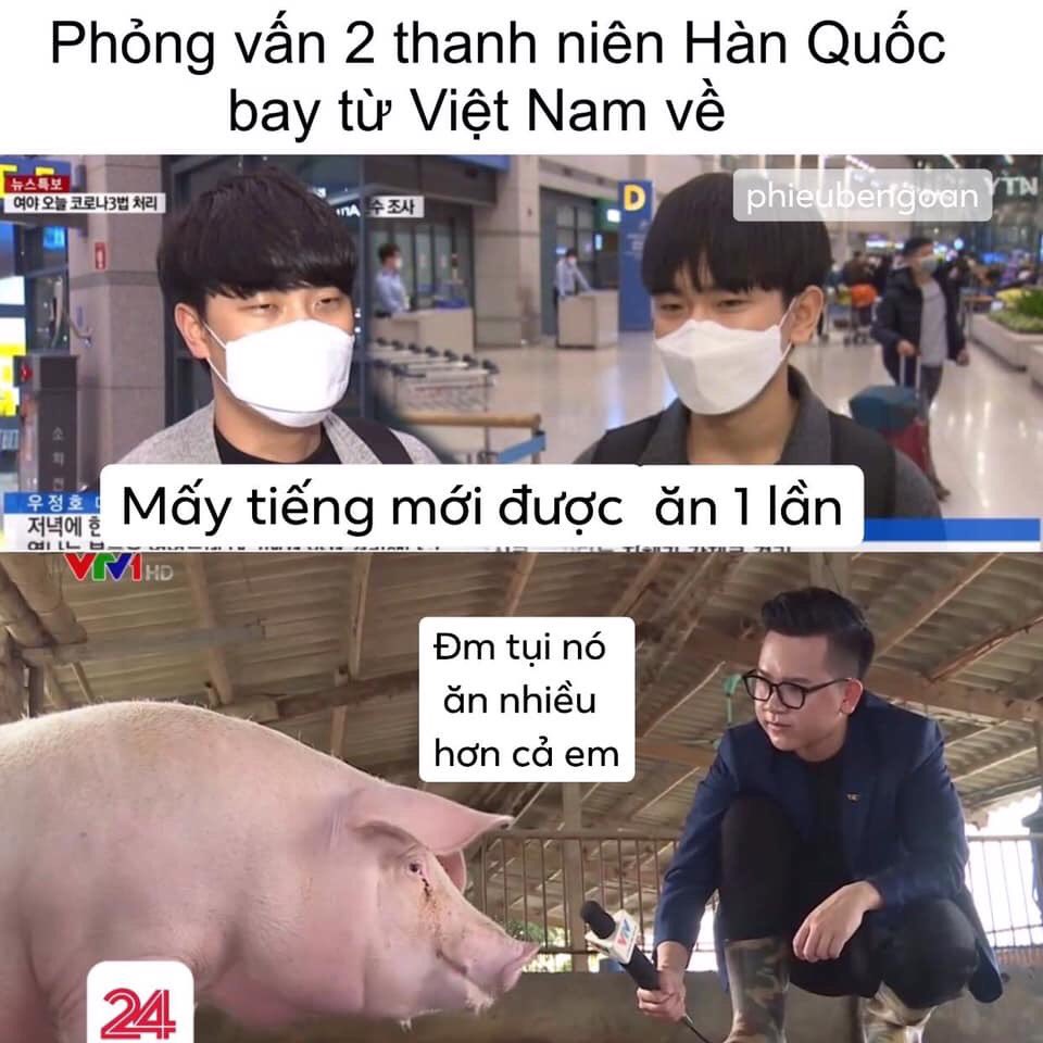 AiBmt's tweet photo. Ủa mấy anh đi du lịch xong vứt não qua cửa sổ máy bay phải không?
Một phần ăn của mấy anh gấp 4 lần người dân Việt trong khi bị cách ly đấy ạ :D
#KoreansStopLying 
#KoreansApologizetoVietNam 
ăn cho lắm r ngu hơn cả heo https://t.co/xRSUhdvqVW