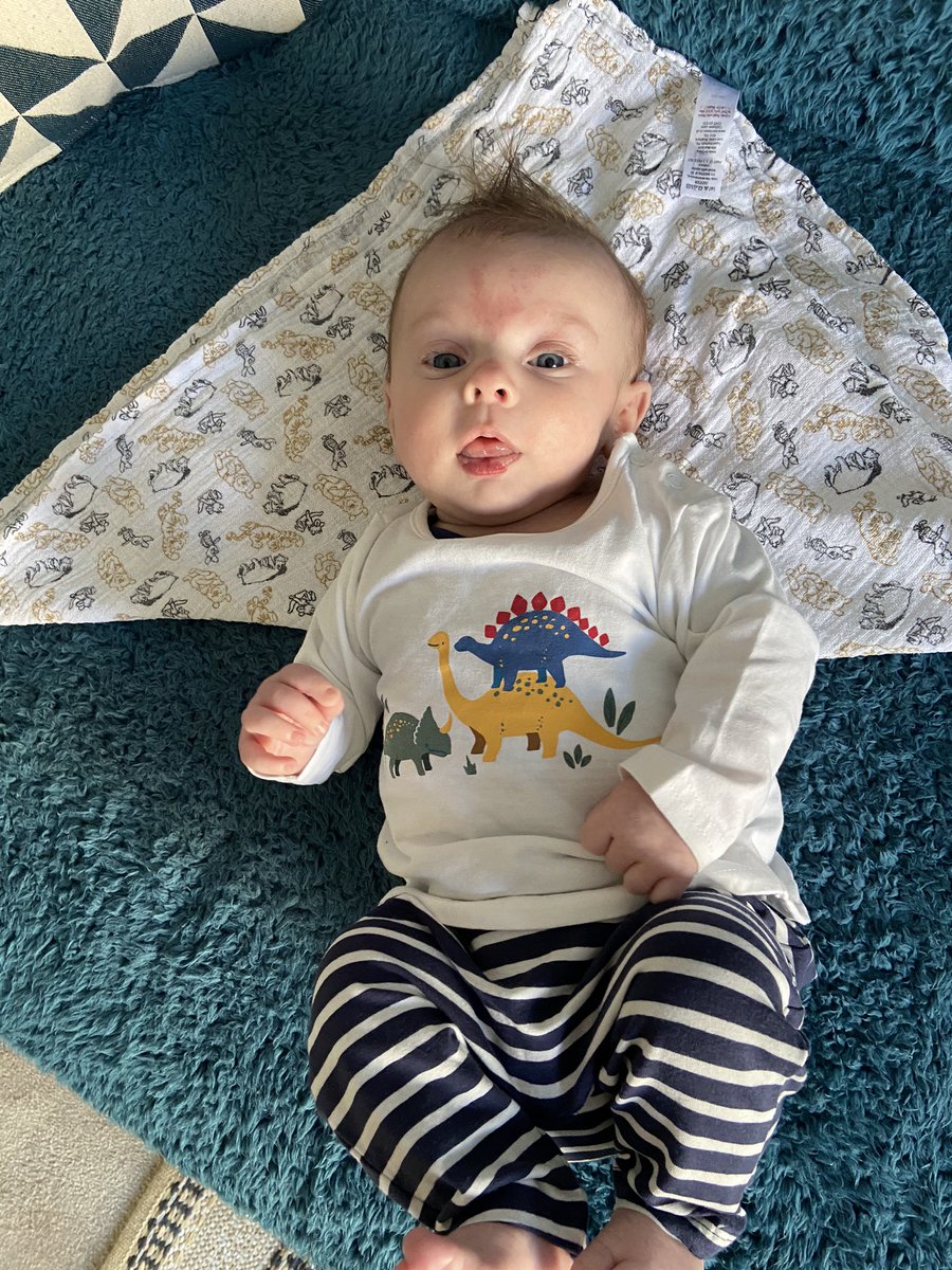 justme3316's tweet photo. @Lucy57811179 Yep! This is what happened to me constantly and ... this is him this morning. Hang in there xx https://t.co/PeKV8kVCJR
