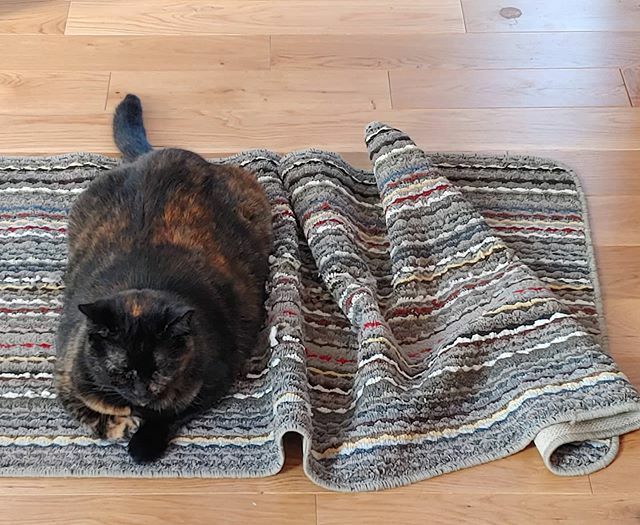 don't you just wanna cozy up with meowmeow today? we sure do!
.
#ffarmerffrench 
#cookstowngreens ✌💚😽 ift.tt/383aPZ2