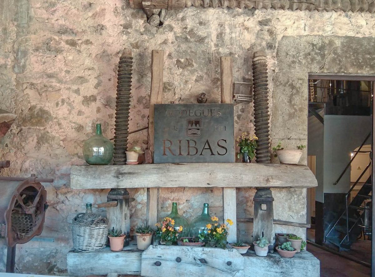 FuturtransSL's tweet photo. A wine tasting at Bodega Ribas is always a pleasant experience.

Where do you want to go today? 🧡🚍

#bodegaribas #winetasting #mallorca #excursion #onthebus https://t.co/BNMAGzEBY3