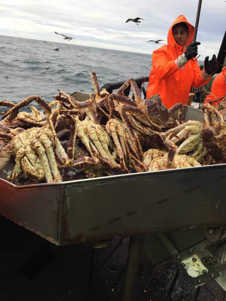 fancycrabuk's tweet image. North-West Fishing Consortium has everything required for producing finished products at sea during fishing🚢🌊
⠀
Duly certified equipment in factories allows us to follow the highest international standards
⠀
#fancycrab #crab #goingoutlondon #londonrestaurants #LondonEats